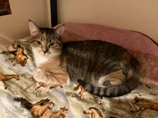 Matilda