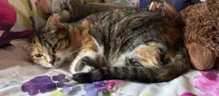 Matilda