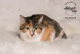 Matilda