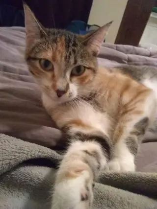 Matilda