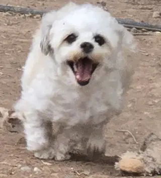 **LOLA - Read Bio Below
