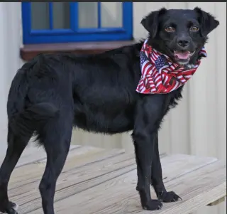 Farley in TX