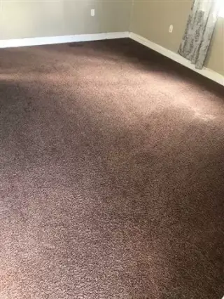 Carpet Cleaning and Floor Wax