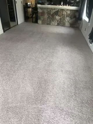 Carpet Cleaning and Floor Wax