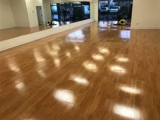Carpet Cleaning and Floor Wax