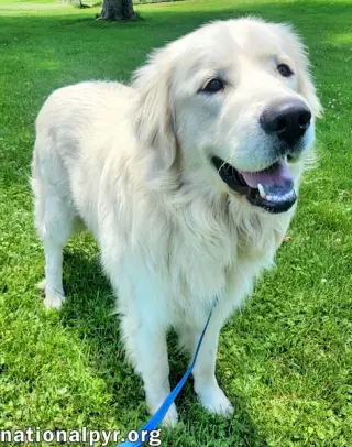 Trent in KY - Happy, Silly & Playful!