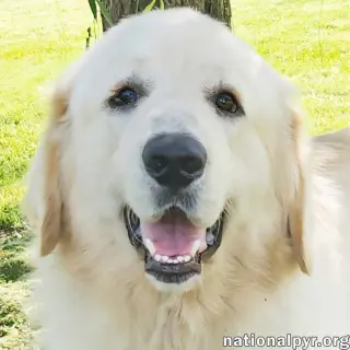 Reece in KY - Loves Meeting New People!