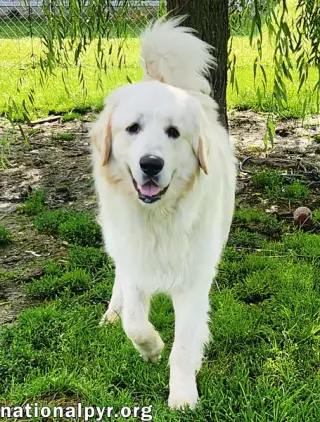 Reece in KY - Loves Meeting New People!