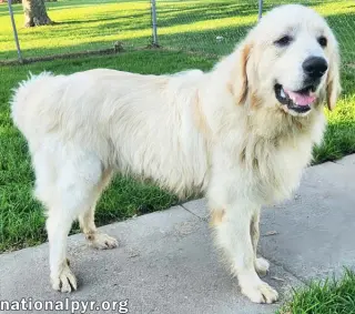 Reece in KY - Loves Meeting New People!