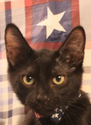 Rex