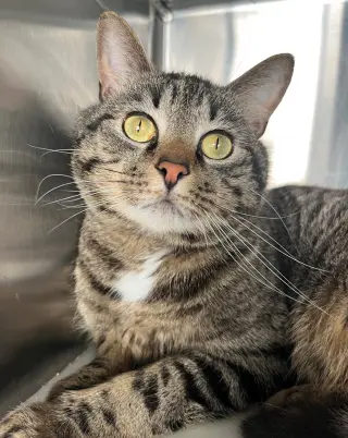 Duncan