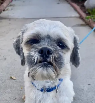 Oskar