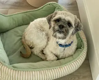 Oskar