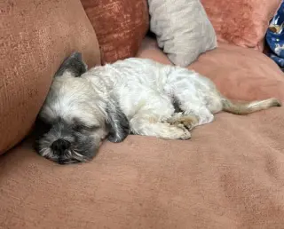 Oskar
