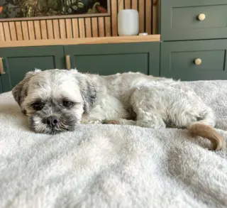 Oskar
