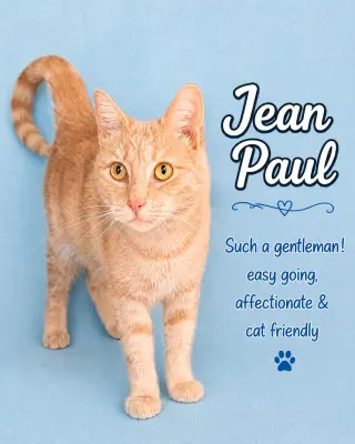 Jean Paul (FCID 1/12/26-82) Willow Grove PA