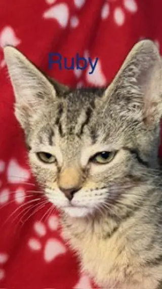 Ruby