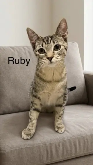 Ruby