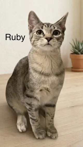 Ruby