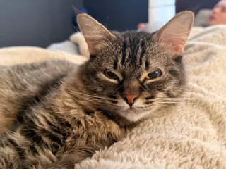 Evelyn (aka “Popple”)