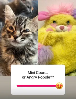 Evelyn (aka “Popple”)