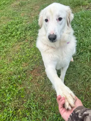 Skye AKA Skyler