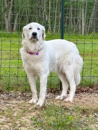 Skye AKA Skyler