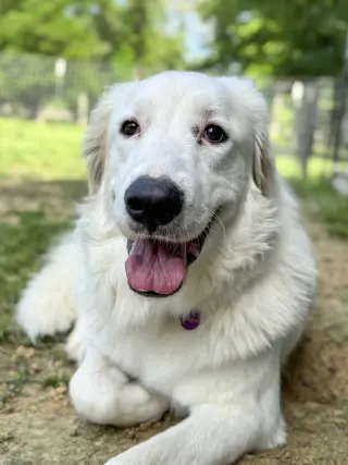 Skye AKA Skyler