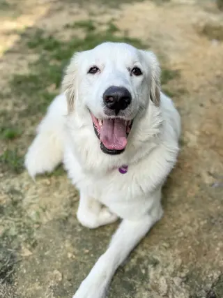 Skye AKA Skyler
