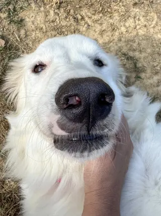 Skye AKA Skyler