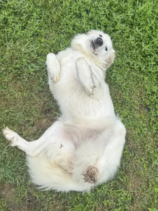Skye AKA Skyler
