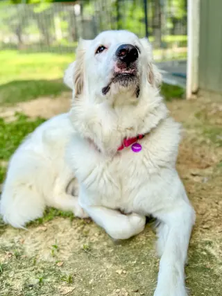 Skye AKA Skyler