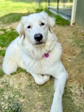 Skye AKA Skyler