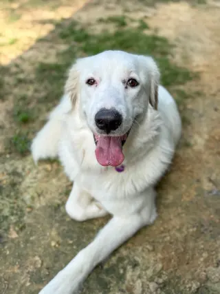 Skye AKA Skyler