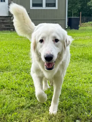 Skye AKA Skyler