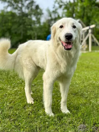 Skye AKA Skyler