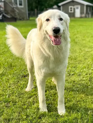 Skye AKA Skyler