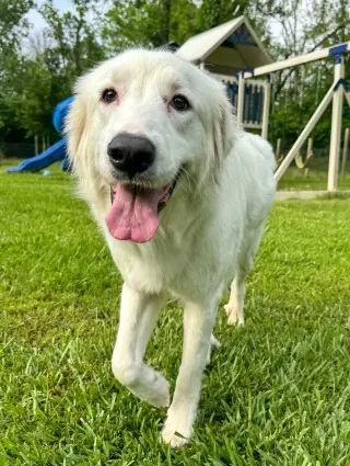 Skye AKA Skyler