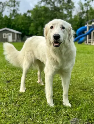 Skye AKA Skyler