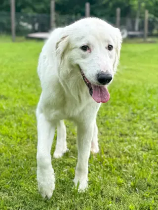 Skye AKA Skyler
