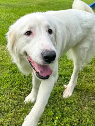 Skye AKA Skyler