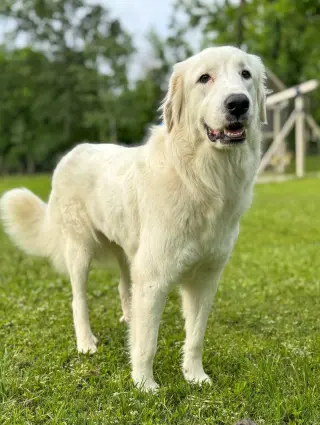 Skye AKA Skyler