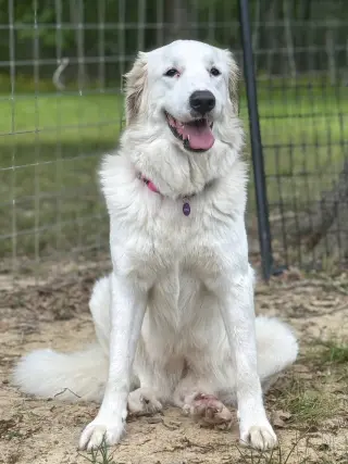 Skye AKA Skyler