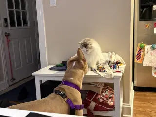 Radar