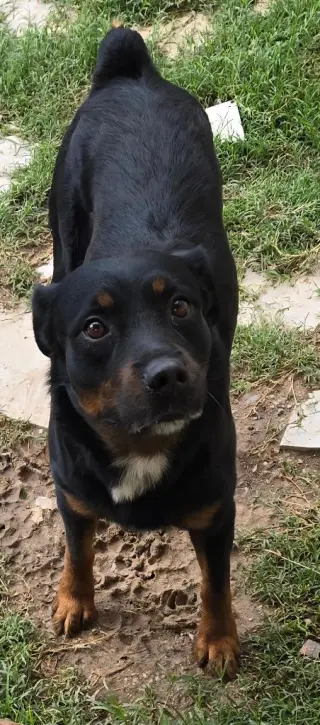 Skip