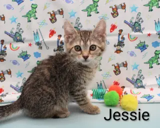 Jessie