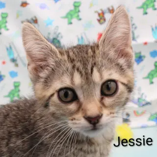 Jessie