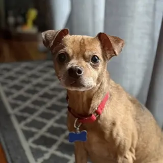 Russ