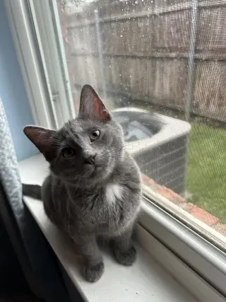 Smokey