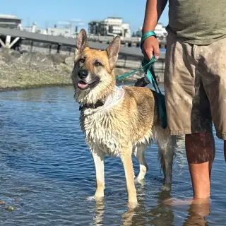 Zoey